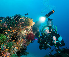 OrcaTorch D950V Videovalaisin