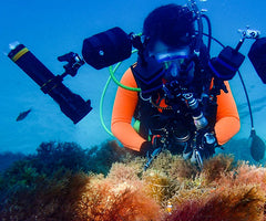 OrcaTorch D950V Videovalaisin