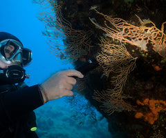 OrcaTorch D580 valaisin